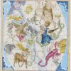 elijah-h.-burritt-atlas-of-the-heavens-(6-works)